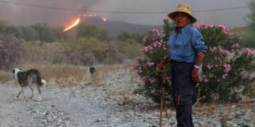 Spain wildfire leaves at least 12 dead, 23 missing in expat community