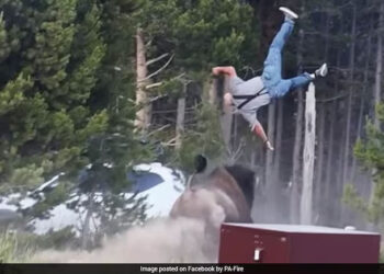 Tourist Injured After Bison Tosses Him 8 Feet Into The Air At Yellowstone Park
