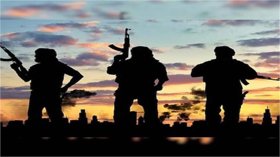 Pakistan’s Terror Crisis Deepens: Over 3,000 Attacks and 800 Deaths Expose Worsening Security Collapse