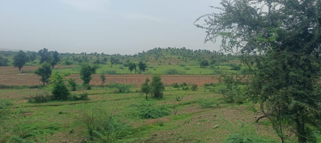 लक्ष्मीपुरा में चरागाह भूमि पर अवैध अतिक्रमण से ग्रामीण व्यथित, शिक्षक दंपति एवं अन्य पर अतिक्रमण का आरोप 2 WhatsApp Image 2026 08 05 at 4.38.53 PM