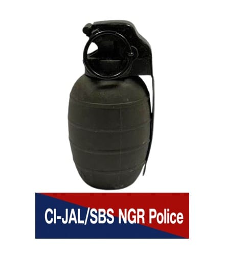 Punjab Police Foils Terror Plot, BKI Module Operative Held With Hand Grenade 1 WhatsApp Image 2026 08 10 at 5.04.32 PM