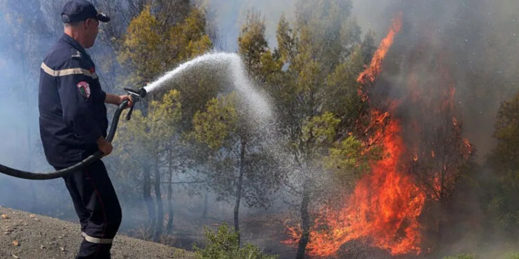 At least 12 dead as wildfires sweep through northern Algeria 1 At least 12 dead as wildfires sweep through northern Algeria