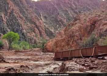 20 Missing In US Grand Canyon Flash Floods, Video Shows Massive Destruction