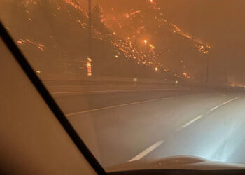 British Columbia Declares State Of Emergency, 20,000 Evacuated Amid Wildfire 7 British Columbia Declares State Of Emergency, 20,000 Evacuated Amid Wildfire