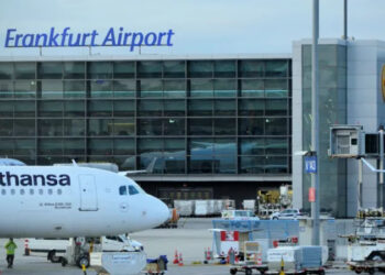 Two German airport workers die of malaria after ‘mosquito arrives on plane’