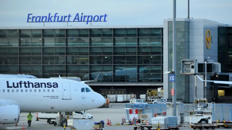Two German airport workers die of malaria after ‘mosquito arrives on plane’