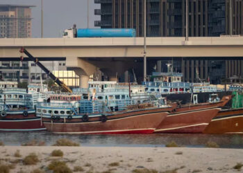 UAE Suspends All Trade, Financial Dealings With Iran After Missile Incident 6 UAE Suspends All Trade, Financial Dealings With Iran After Missile Incident