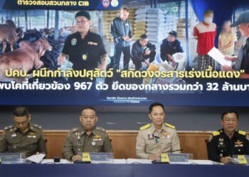 ปคบ.-ปศุสัตว์ ทลายขบวนการ "สารเร่งเนื้อแดง" รวบอดีตเซลส์ยึดวัว 667 ตัว-เงินสดกว่า 30 ล้าน 7 ปคบ.-ปศุสัตว์ ทลายขบวนการ “สารเร่งเนื้อแดง” รวบอดีตเซลส์ยึดวัว 667 ตัว-เงินสดกว่า 30 ล้าน