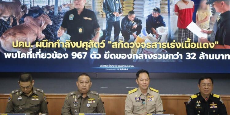 ปคบ.-ปศุสัตว์ ทลายขบวนการ "สารเร่งเนื้อแดง" รวบอดีตเซลส์ยึดวัว 667 ตัว-เงินสดกว่า 30 ล้าน 1 ปคบ.-ปศุสัตว์ ทลายขบวนการ “สารเร่งเนื้อแดง” รวบอดีตเซลส์ยึดวัว 667 ตัว-เงินสดกว่า 30 ล้าน