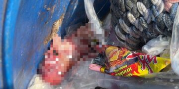 ผงะ! คนเก็บของเก่าฉีกถุงหาขวด เจอร่างทารกหล่นจากถุงลงถังขยะ โร่แจ้งตำรวจเร่งล่าตัวผู้ทิ้ง
