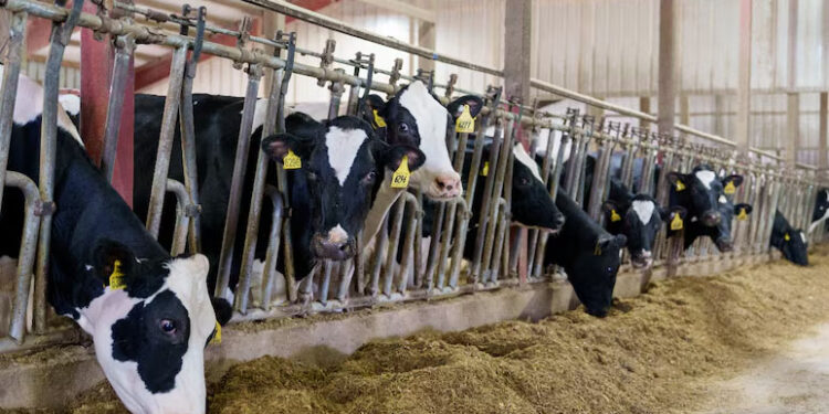 Canada Slaps Up To 50% Tariffs On Hundreds Of US Goods. See The Full List