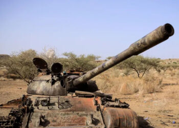 Seven Ethiopian rebel groups form new alliance