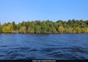 Mysterious Floating Island Appears And Vanishes In Canadian Reservoir