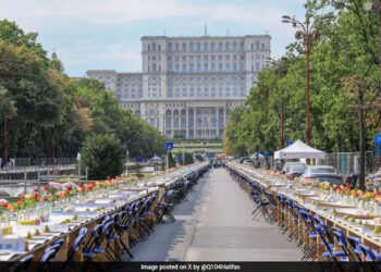 Romania Sets Guinness World Record With 5-km-Long Table To Raise Funds