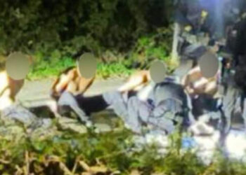 Late-night drive, masked men and 999 call: How a woman farmer may have foiled UK terror plot
