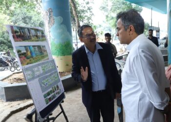Delhi Flyovers Get a Makeover: Wildlife, Yoga and Classical Dance to Transform Urban Spaces