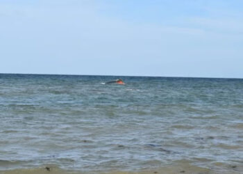 139 Migrants, Including Children, Dead After Boat Overturns Off Djibouti