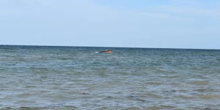 139 Migrants, Including Children, Dead After Boat Overturns Off Djibouti