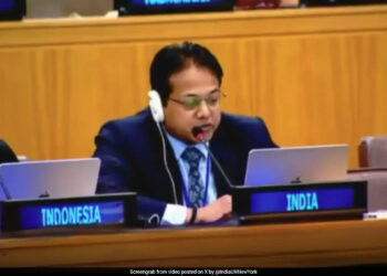 India Asks UN Human Rights Body For Report On Pakistan’s Actions In PoK