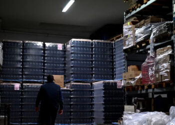2 Vans, 30,000 Bottles: 6 Thieves Carry Out Italy’s Biggest Wine Robbery