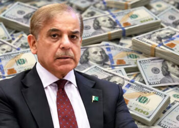 Serial-borrower Pak is chief of global borrowers' club. What it brings to the table 4 Serial-borrower Pak is chief of global borrowers’ club. What it brings to the table