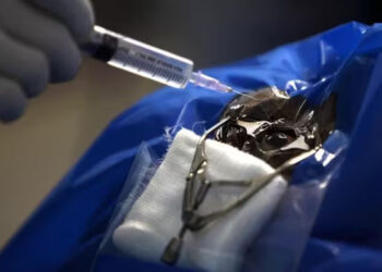 Taliban bans corneal transplants in Afghanistan citing Islamic teachings: Report