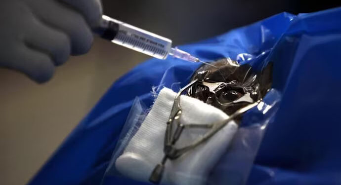 Taliban bans corneal transplants in Afghanistan citing Islamic teachings: Report 1 Taliban bans corneal transplants in Afghanistan citing Islamic teachings: Report